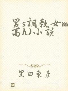男s调教女m(高h)小说