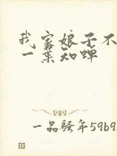 我家娘子不对劲一叶知蝉封面