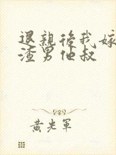 退亲后我嫁给了渣男他叔封面