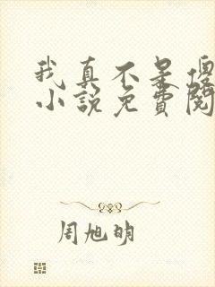 我真不是傻子了小说免费阅读全文封面