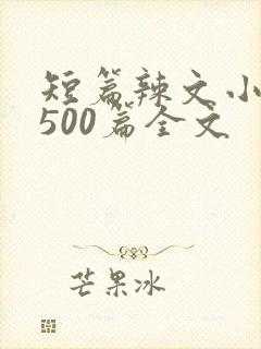 短篇辣文小说集500篇全文