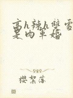 高h辣h双处全是肉军婚