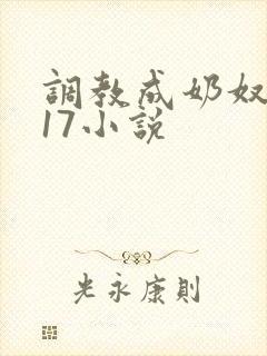 调教成奶奴1～17小说