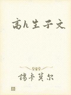 高h生子文封面