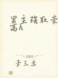 男主强取豪夺 高h