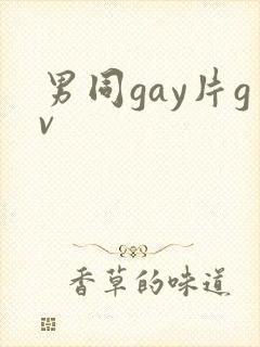 男同gay片gv