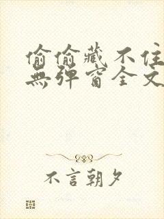 偷偷藏不住小说无弹窗全文免费阅读封面