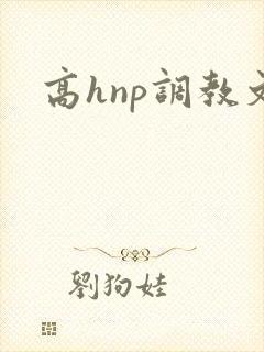 高hnp调教文