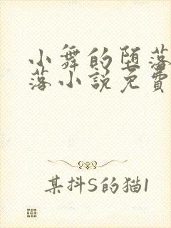 小舞的堕落与堕落小说免费阅读