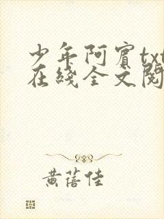 少年阿宾txt在线全文阅读封面