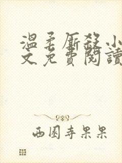 温柔厮杀小说全文免费阅读