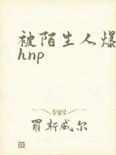 被陌生人爆c高hnp