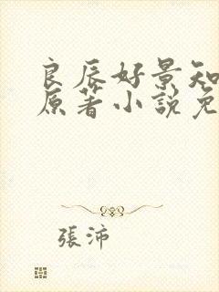 良辰好景知几何原著小说免费阅读