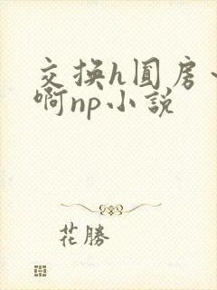 交换h圆房～嗯啊np小说