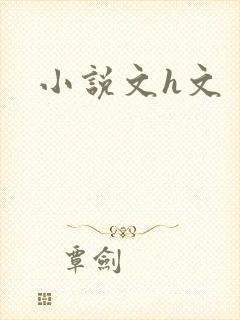 小说文h文