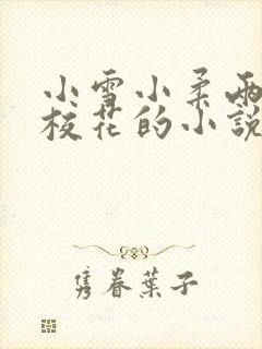 小雪小柔两个大校花的小说名字