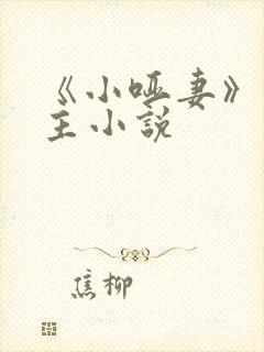 《小哑妻》双女主小说封面