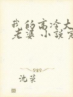 我的高冷大小姐老婆 小说完整
