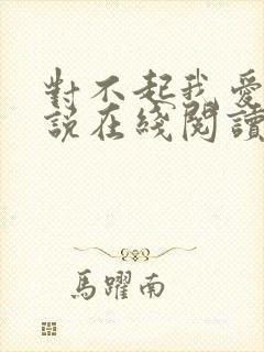 对不起我爱你小说在线阅读