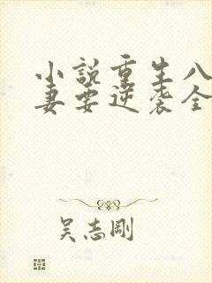 小说重生八零傻妻要逆袭全文