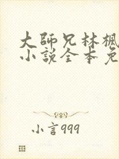 大师兄林枫穿越小说全本免费阅读封面