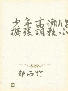 少年高潮h跪趴扩张调教小说