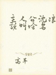 主人公沈浪的小说叫啥名