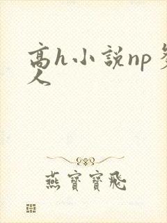高h小说np多人封面