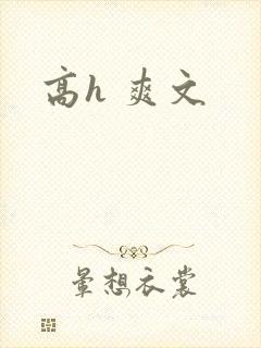 高h 爽文