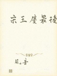 宋玉庆最后结局封面