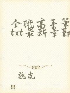 全职高手笔趣阁txt最新章节无弹窗