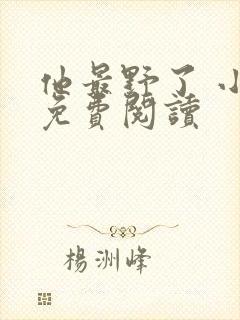 他最野了 小说免费阅读