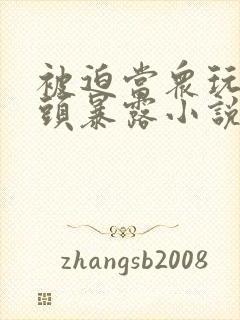 被迫当众玩弄奶头暴露小说