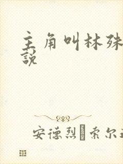 主角叫林殊的小说