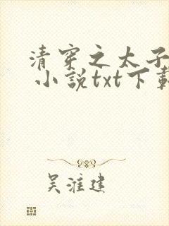 清穿之太子娇妃 小说txt下载