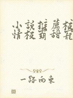 小说推荐校园言情校霸甜宠