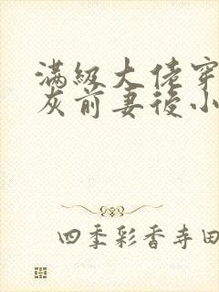 满级大佬穿成炮灰前妻后小说电子版txt