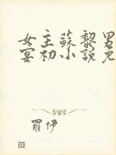 女主苏黎男主陆宴初小说免费阅读