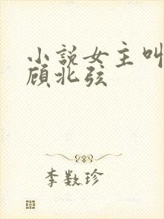 小说女主叫苏o顾北弦