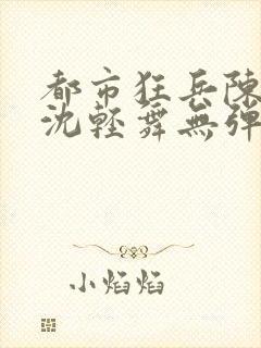 都市狂兵陈六何沈轻舞无弹窗