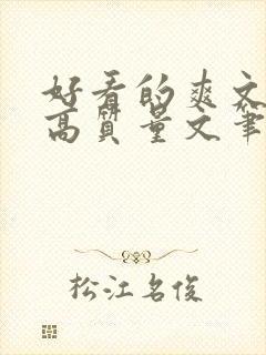 好看的爽文小说高质量文笔好