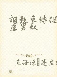 调教束缚捆绑私虐男奴封面