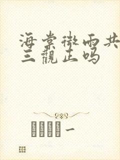 海棠微雨共归途三观正吗封面