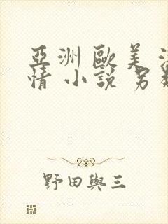 亚洲 欧美 激情 小说 另类