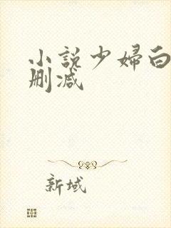 小说少妇白洁无删减