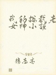 我的总裁老婆是女神小说