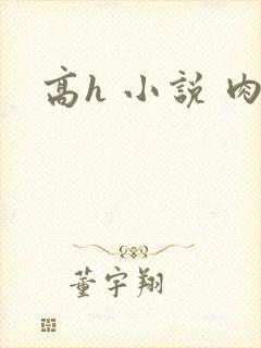 高h 小说 肉