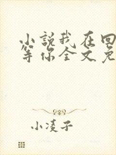 小说我在回忆里等你全文免费阅读