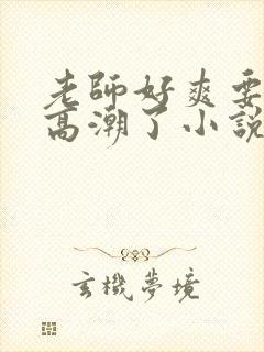 老师好爽要喷了高潮了小说