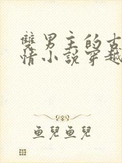 双男主的古代言情小说穿越